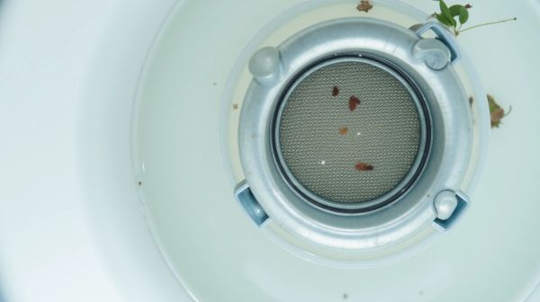 Maîtriser le débouchage du skimmer de piscine bouché